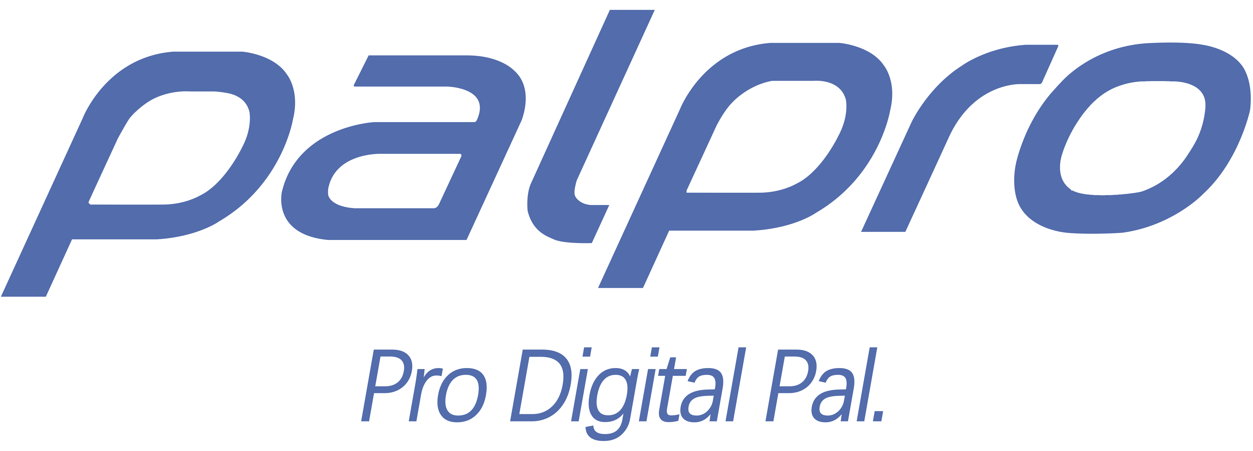 Palpro Logo